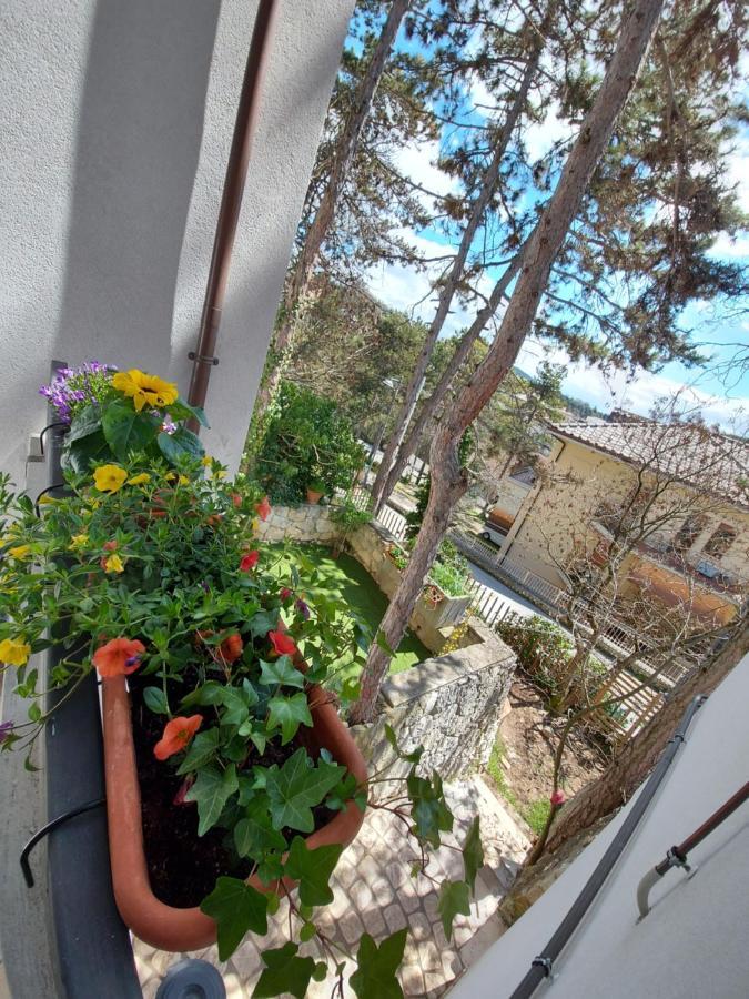 La Pineta - Delightful Small Apartment Near The City Center 拉奎拉 外观 照片