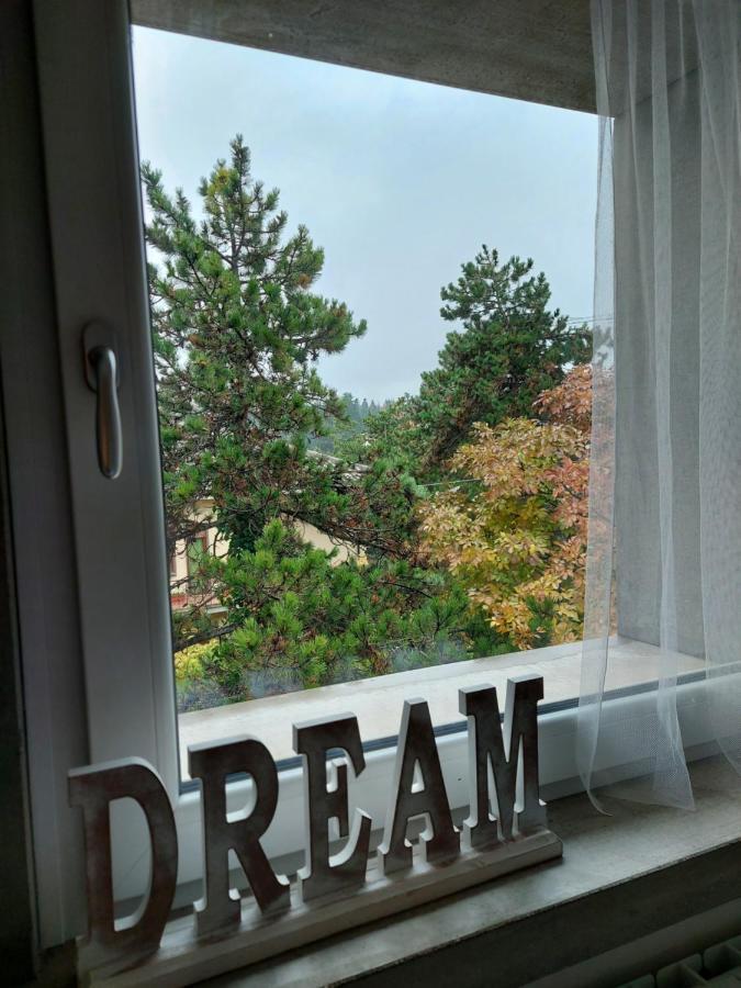 La Pineta - Delightful Small Apartment Near The City Center 拉奎拉 外观 照片